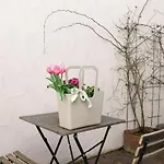 Roots - Central, Unique And Cozy Apartamento *
